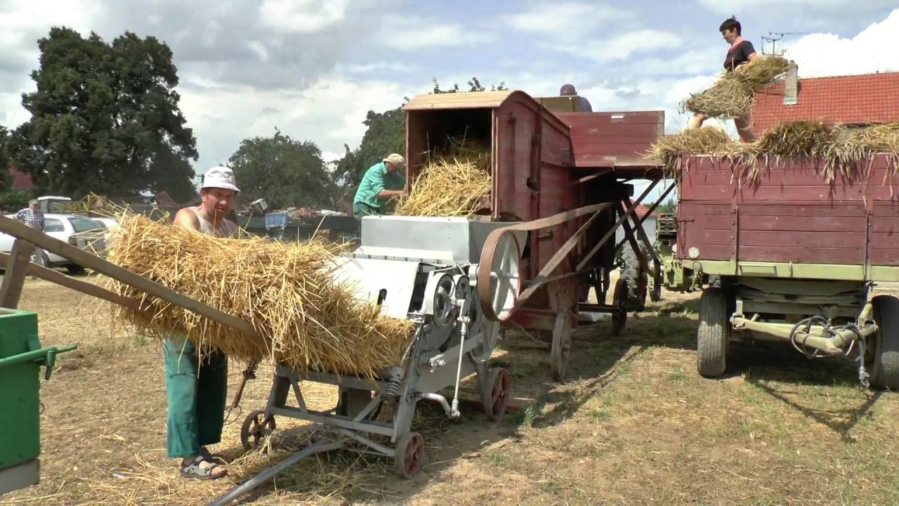 Žně postaru s mlátičkou   Blížkovice   zaznamenal Fr  Holík