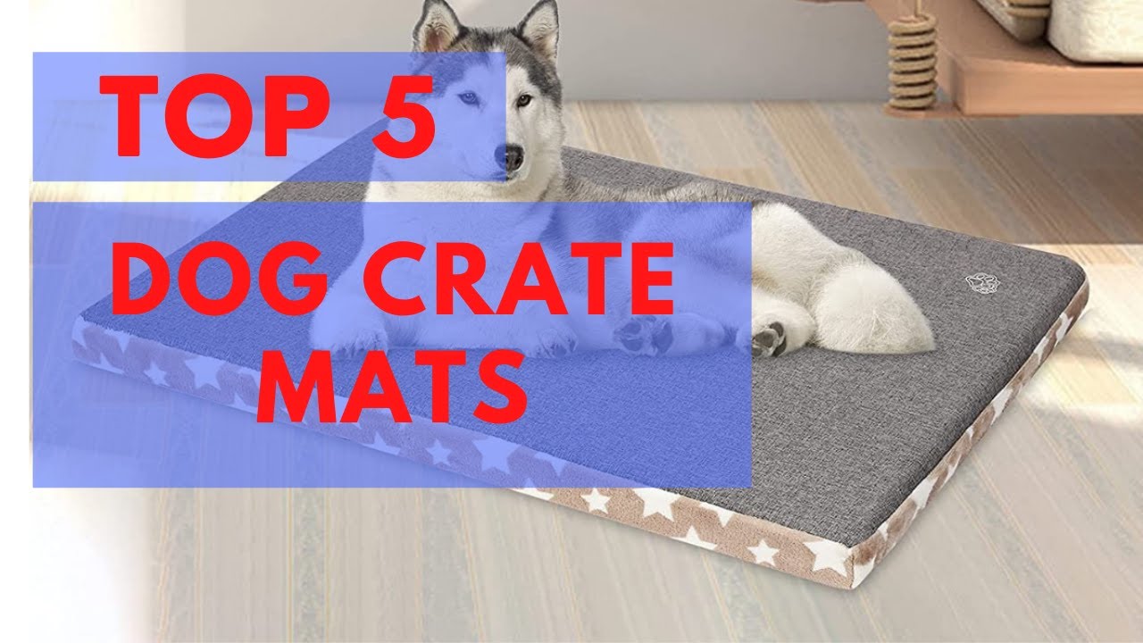 Top 5 Best Dog Crate Mats in 2021