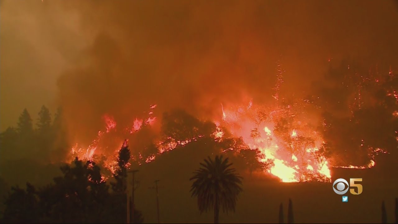Glass Fire, Two New Wildfires Force Evacuations In Napa And Sonoma County