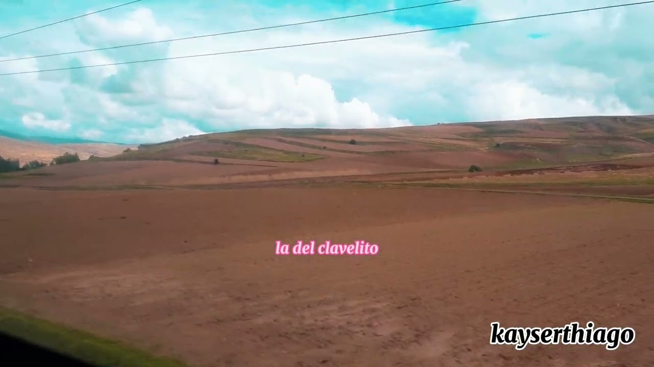 los ayas del peru - clavel clavelito