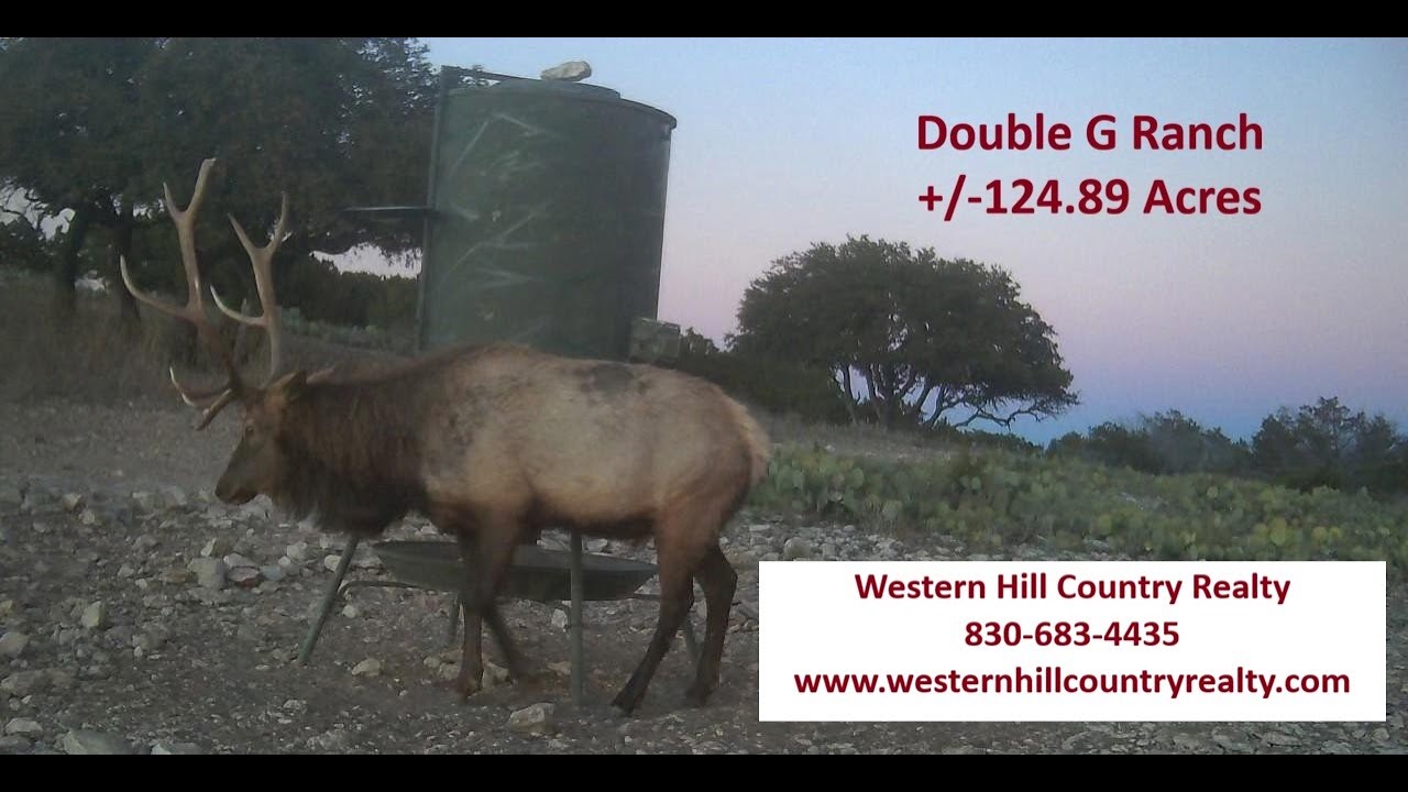 +/-124.89 Acres w House, Private Well. Abundant Game. #westernhillcountryrealty   167 Double G Ranch