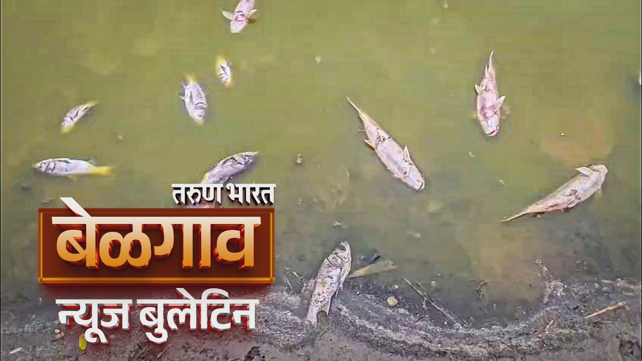 बेळगाव न्यूज बुलेटिन | Belgaum News Bulletin | 15-03-2026