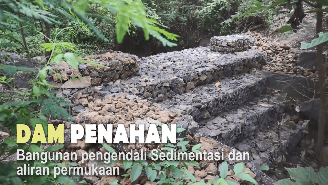 DAM Penahan KTH Sengon Subur Kalipuro Banyuwangi
