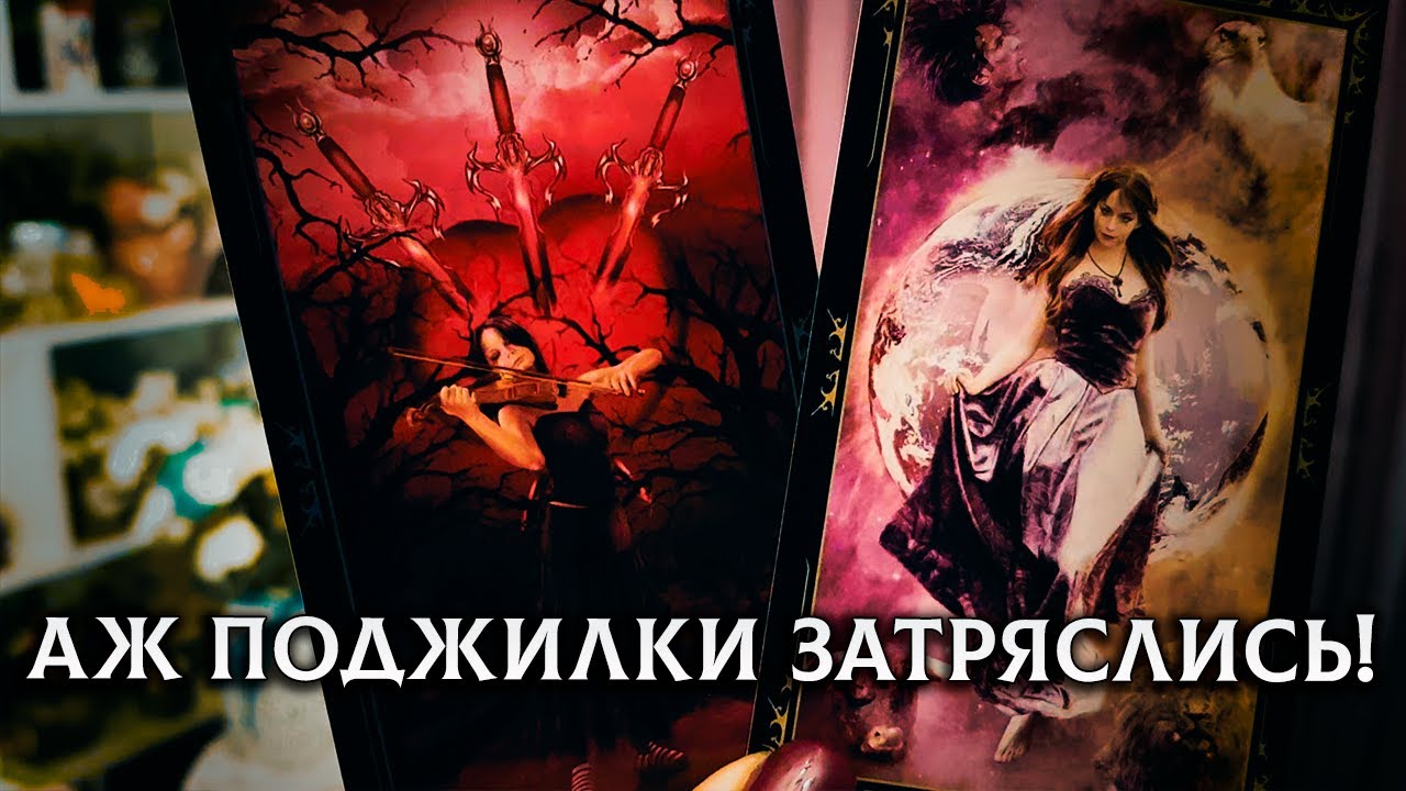 АЖ ПОДЖИЛКИ ЗАТРЯСЛИСЬ! МАЧО НАПИЛСЯ И В ИСТЕРИКЕ ЗАБИЛСЯ!