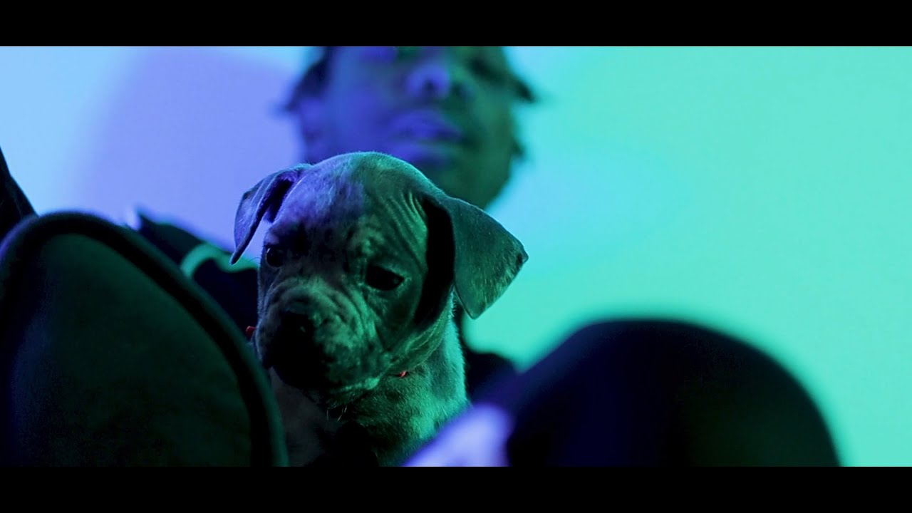 Driveway Baby - Miles Bridges (Official Video) #ShotBy0Degrees
