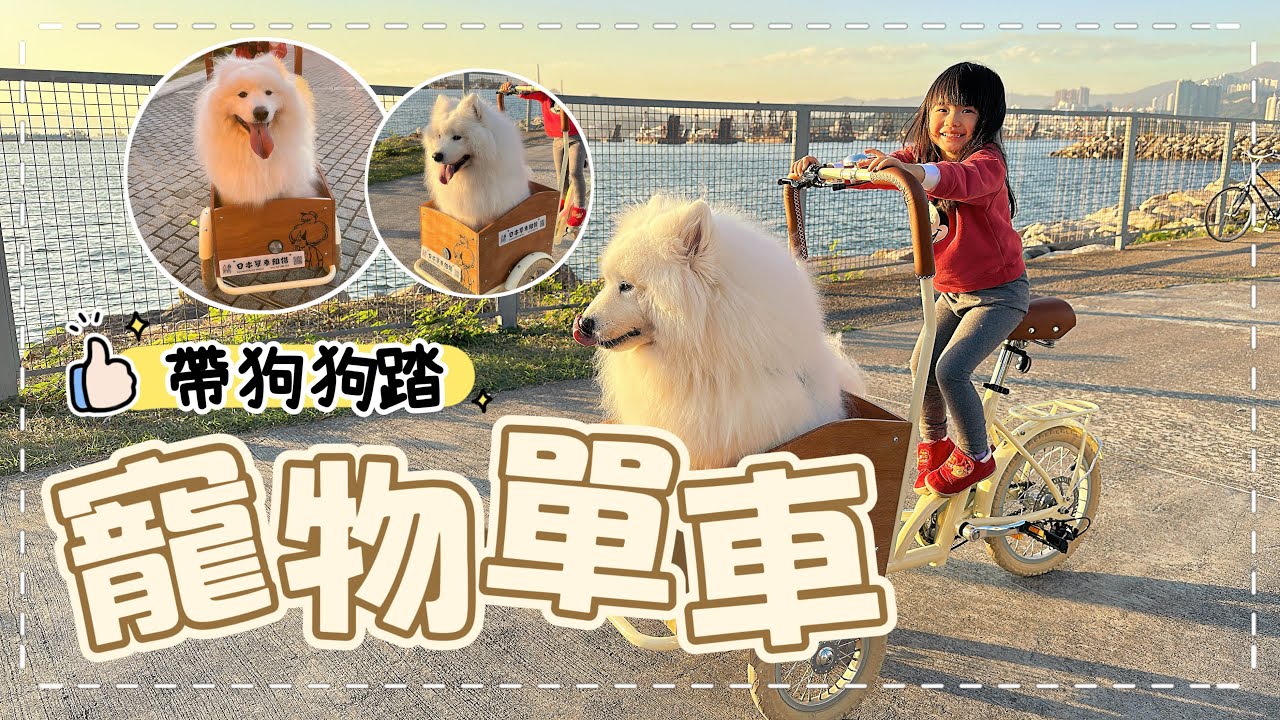 【西九文化區】帶狗狗踏「寵物單車」，究竟寵物單車個寵物籃有幾大？｜西摩Tako｜@big_dog_channel 