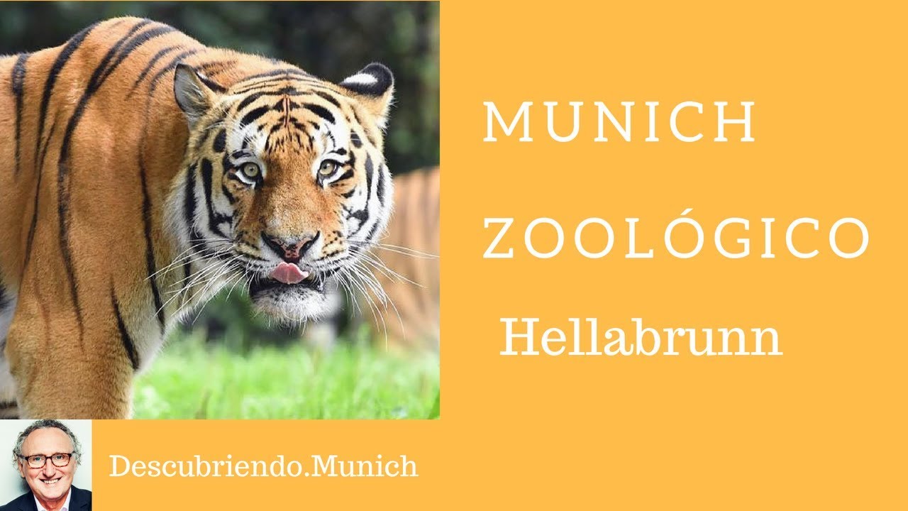 zoologico Hellabrunn - Descubriendo Munich