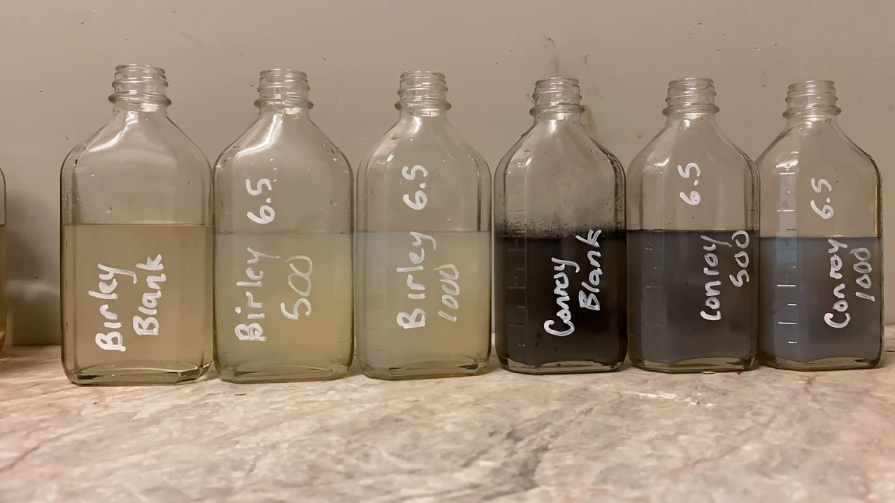 H2S removal test