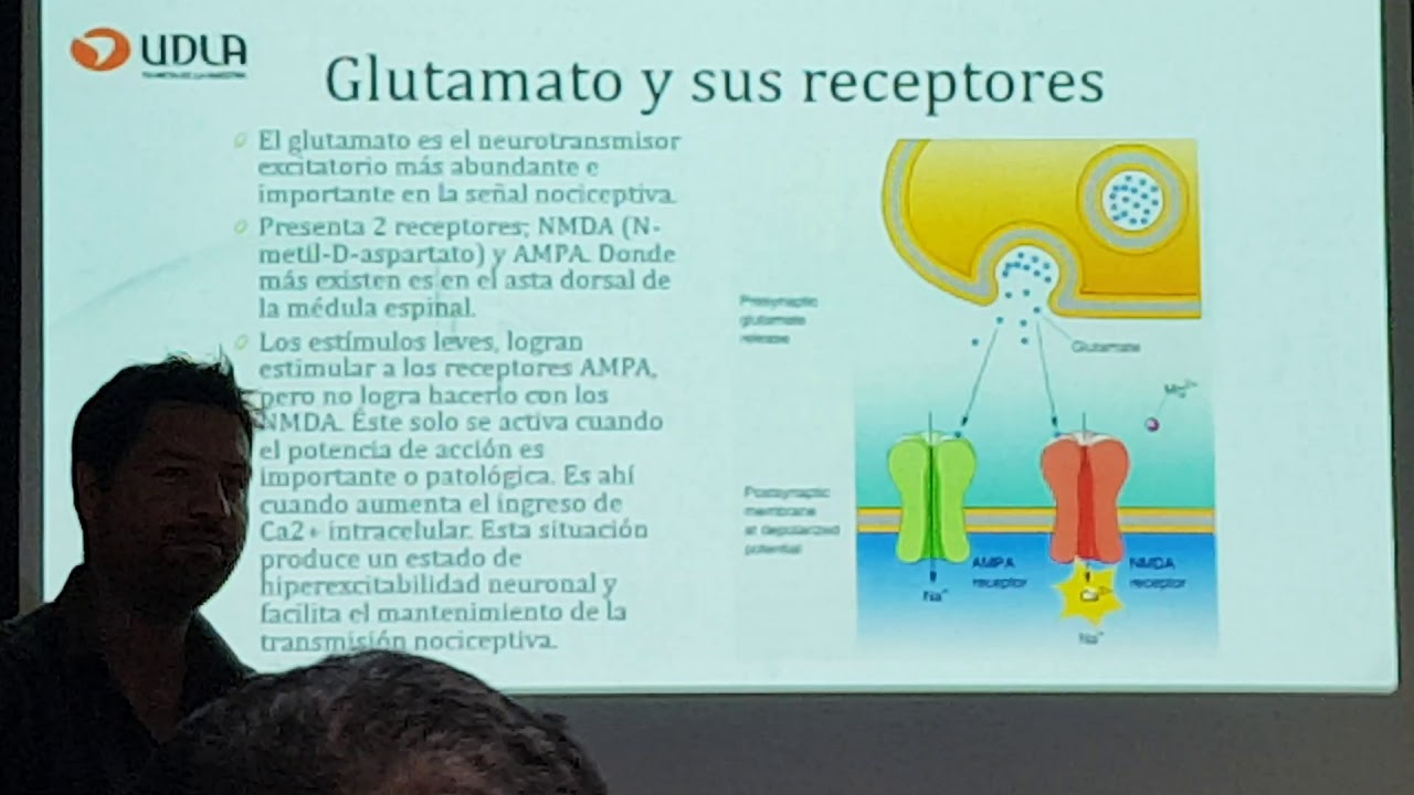 Fisiopatología Animal. Dolor. Parte 1 de 2 (28-03.2019)