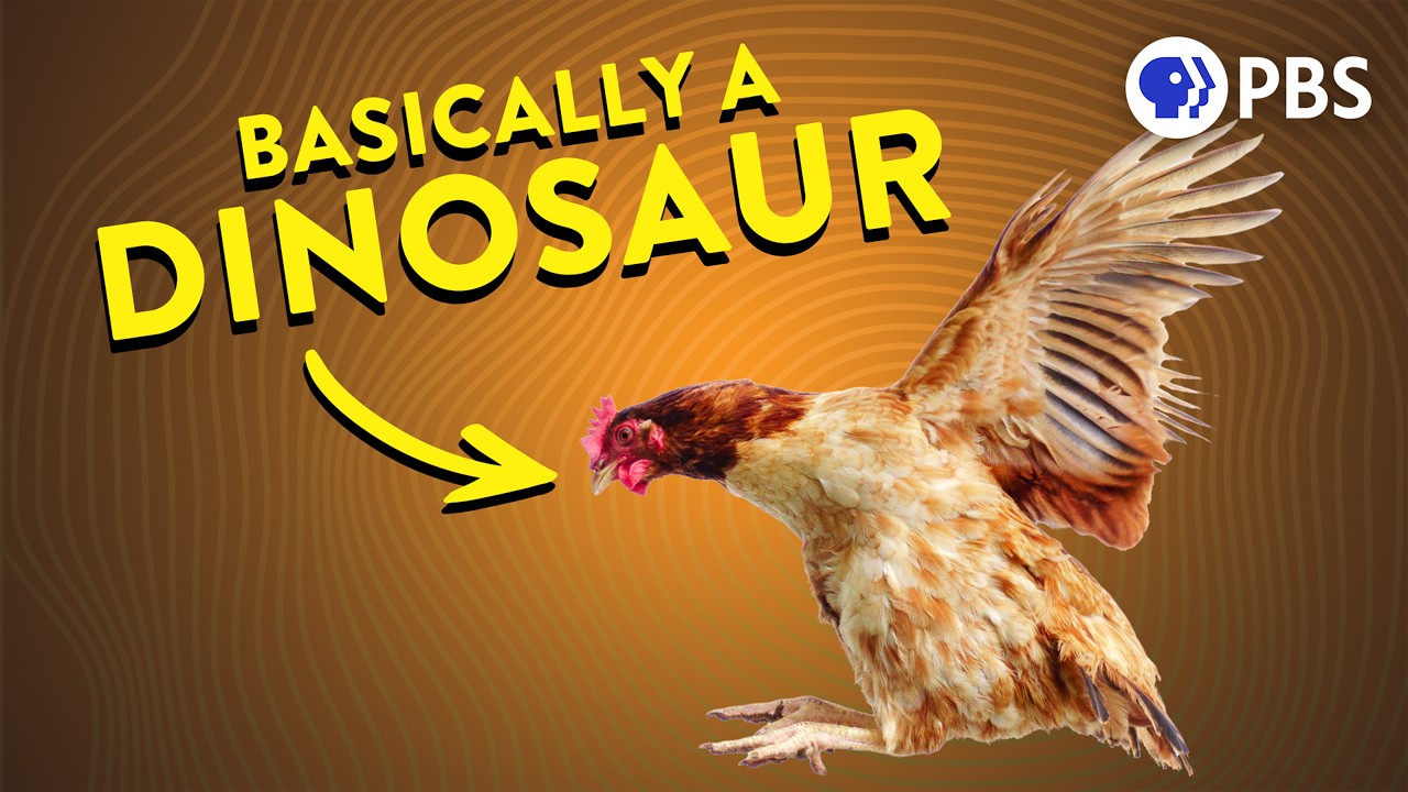 How Feathered Dinosaurs Accidentally Invented Flight (We Tested It!)