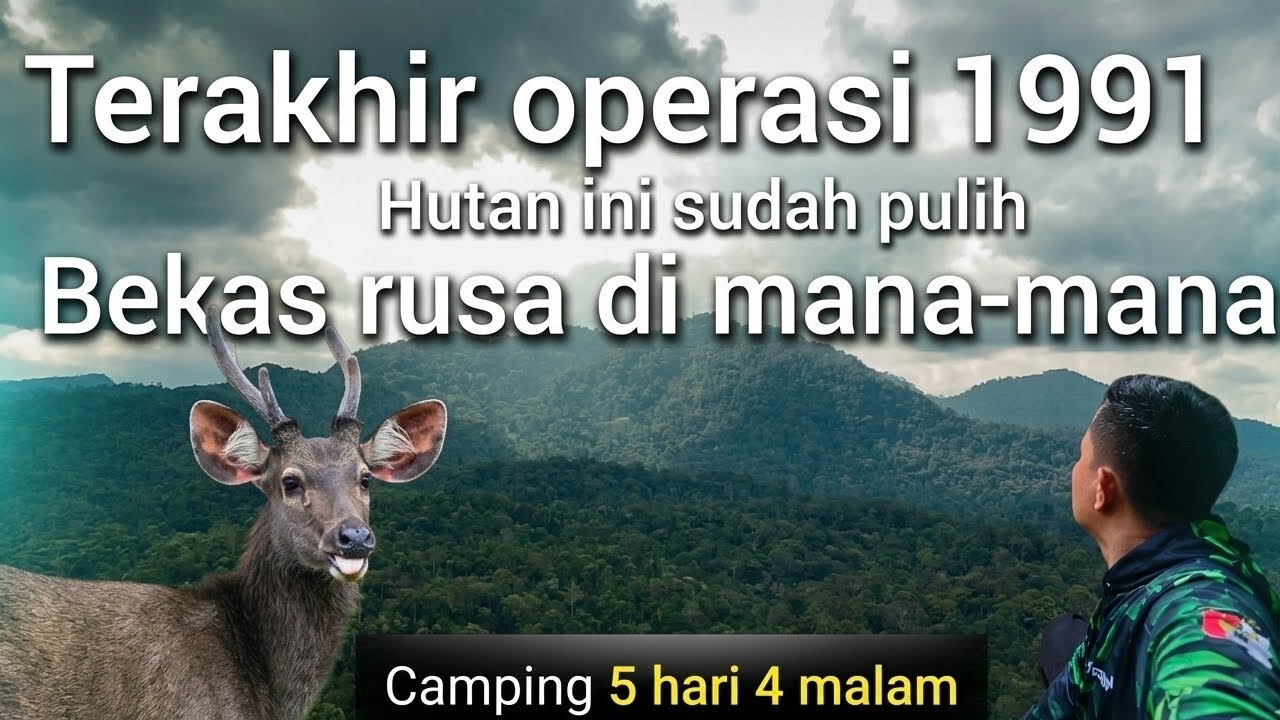 Camping berburu 5 hari 4 malam Di hutan perbatasan Kalimantan Barat dan Kalimantan tengah