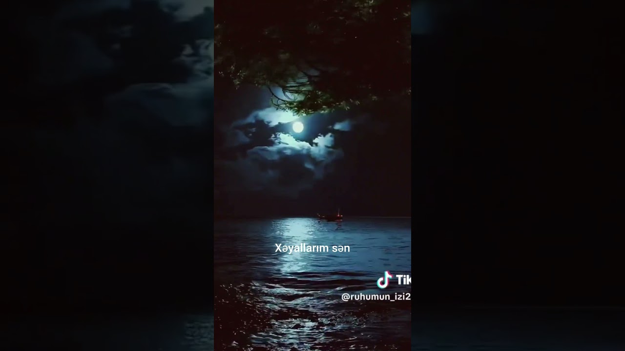 #whatsapp #status #dinle #kəşfet 🎶🤍