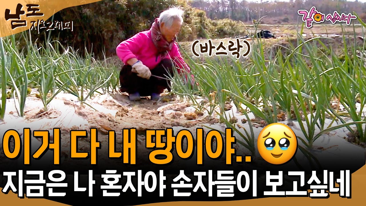 [남도지오그래피] 이 땅 다 내 땅이야.. 계속 관리해야하는데 이제 나 혼자라.. 내가 해야돼.. ㅣKBS 2013.04.03
