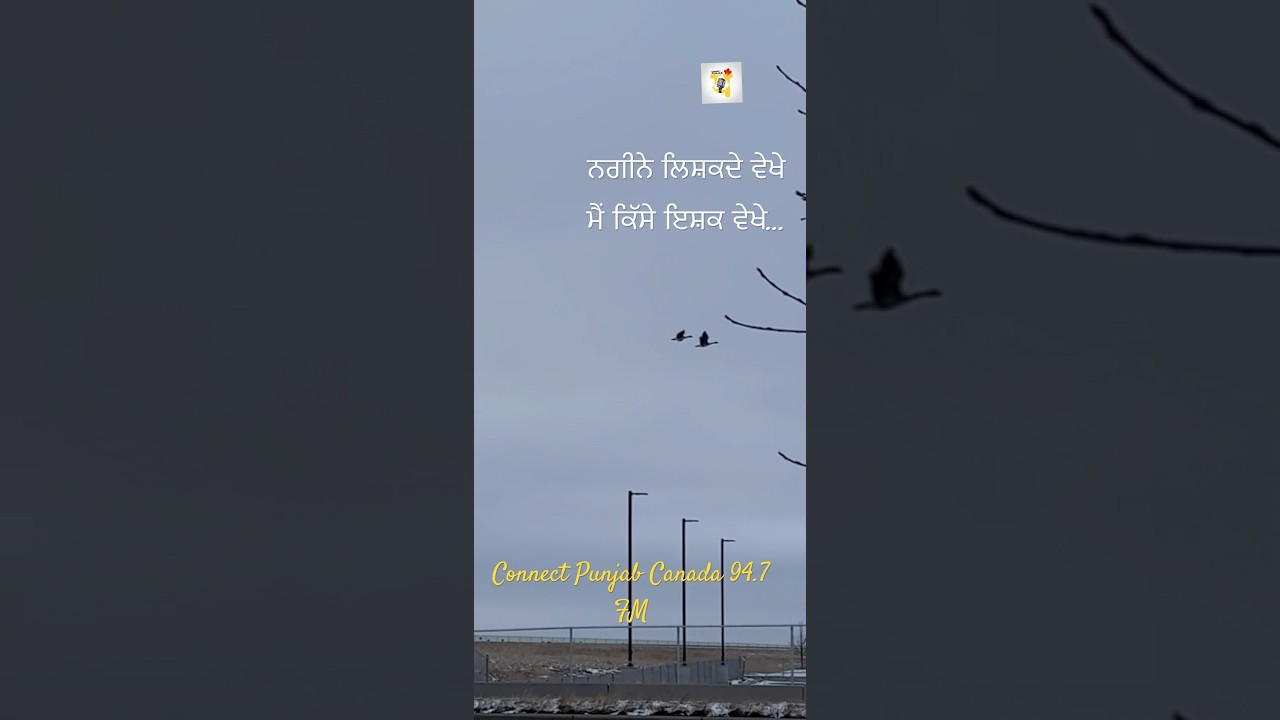Connect Punjab Canada 94.7 FM | Parindey | #shorts #short-reels