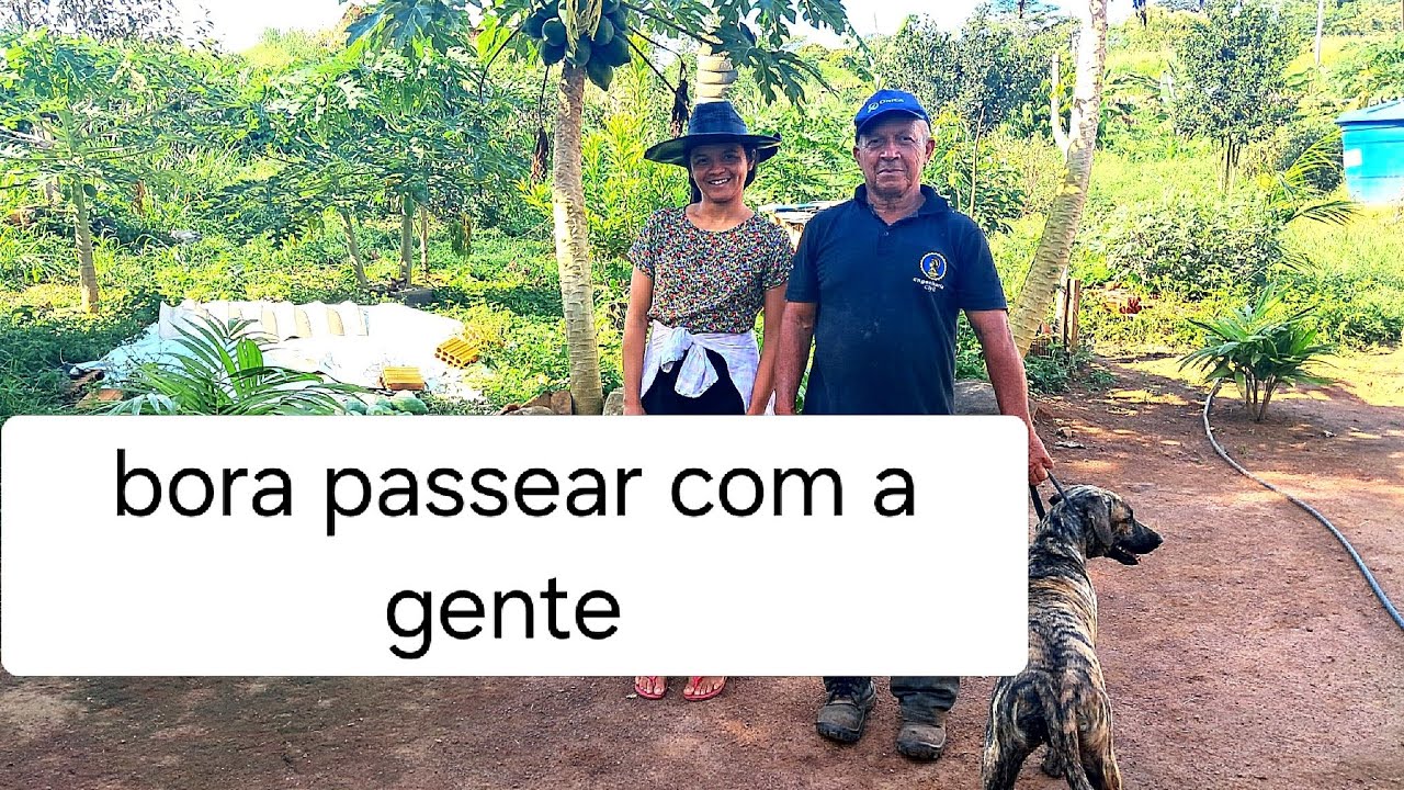 6 de março de 2026