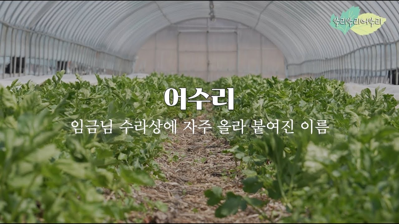 [영양군] 수리수리 