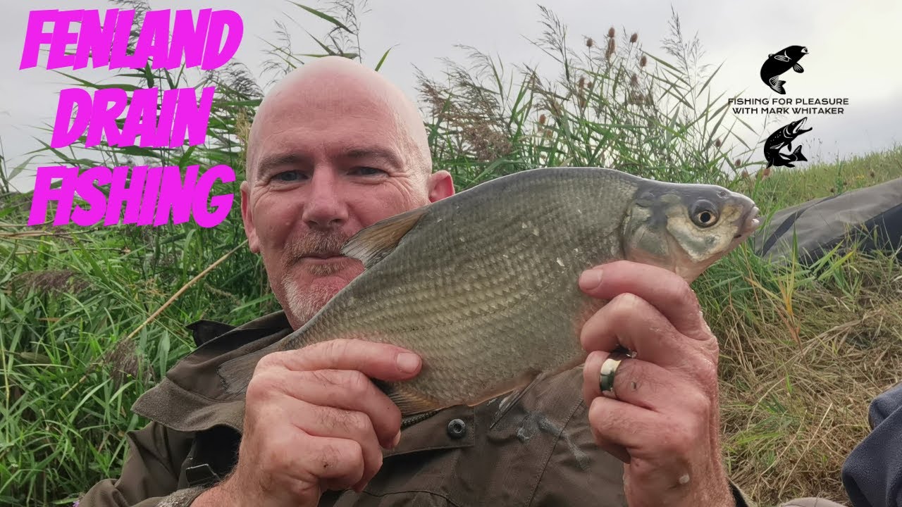 fenland drain fishing Norfolk : Crabs and Skimmers