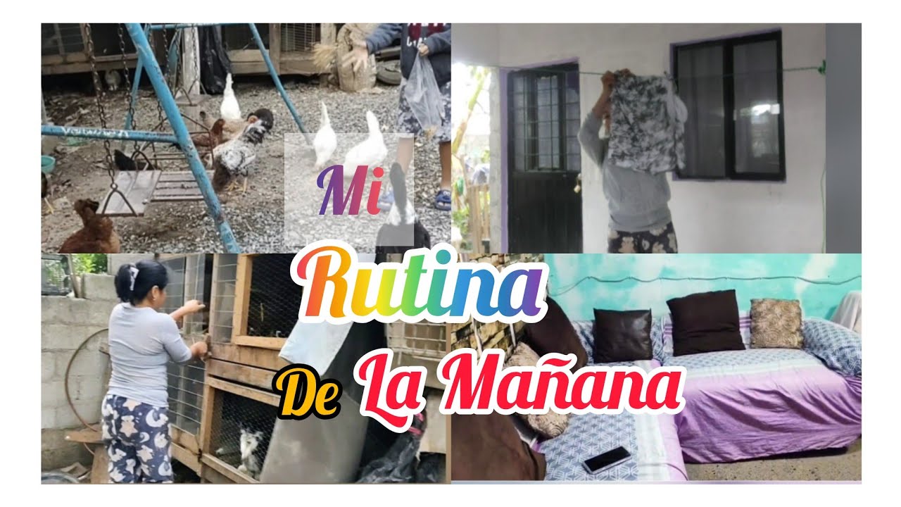 Mi rutina de la mañana .