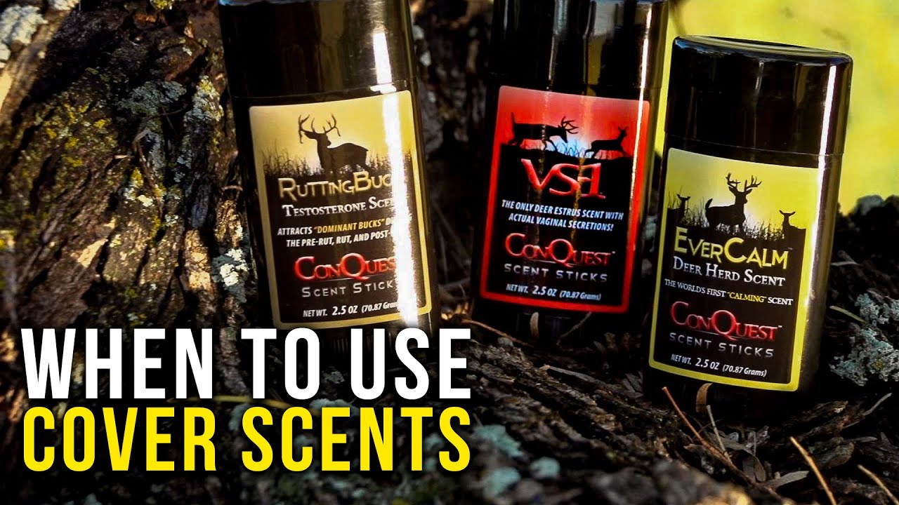 How To Use Cover Scents and Attractants When Hunting