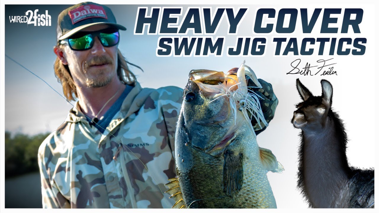 Seth Feider’s Guide to Fishing Swim Jigs in Cover