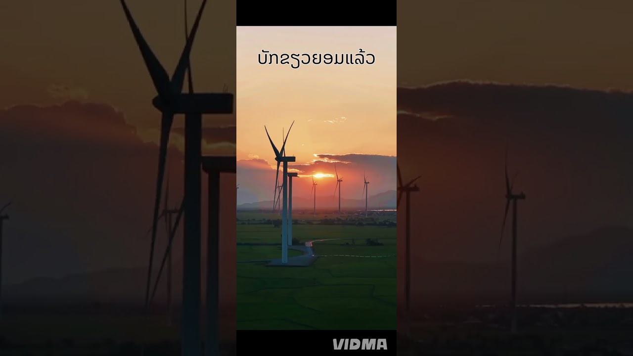 ບັກຂຽວຍອມແລ້ວ