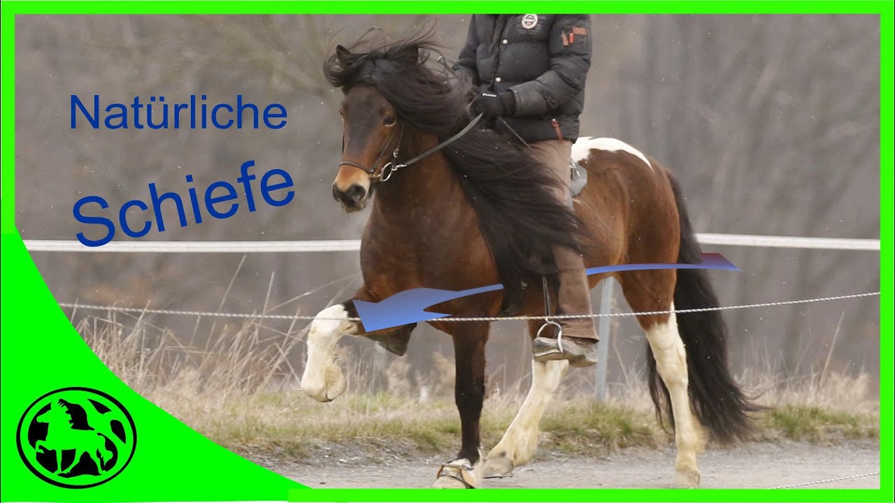 Gedanken zur natürlichen Schiefe ( bei Töltern )