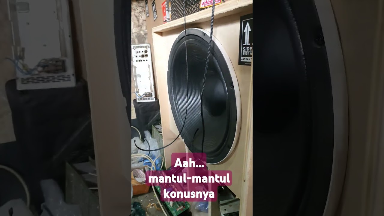 Sub kami dikomplain pemain gitar bass.. tone bass nya tidak jelas... powernya mantul.. mantul...