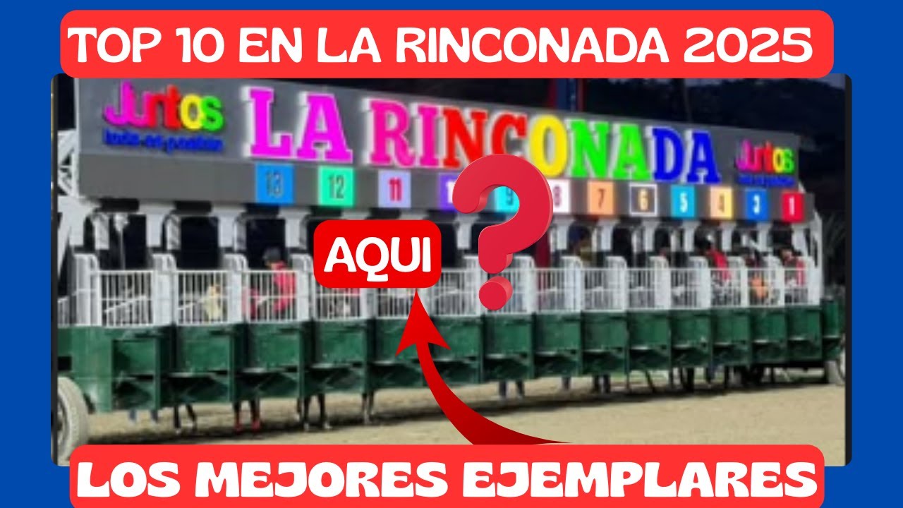 Top 10 mejores ejemplares en la rinconada 2025