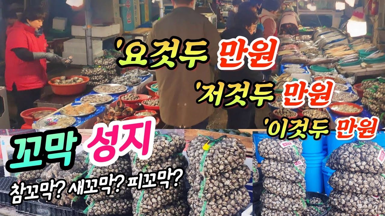 👉10,000원만 들고가도 한쟁반씩 퍼주는 꼬막성지 벌교 오일장에서 만난 특별한 재미!