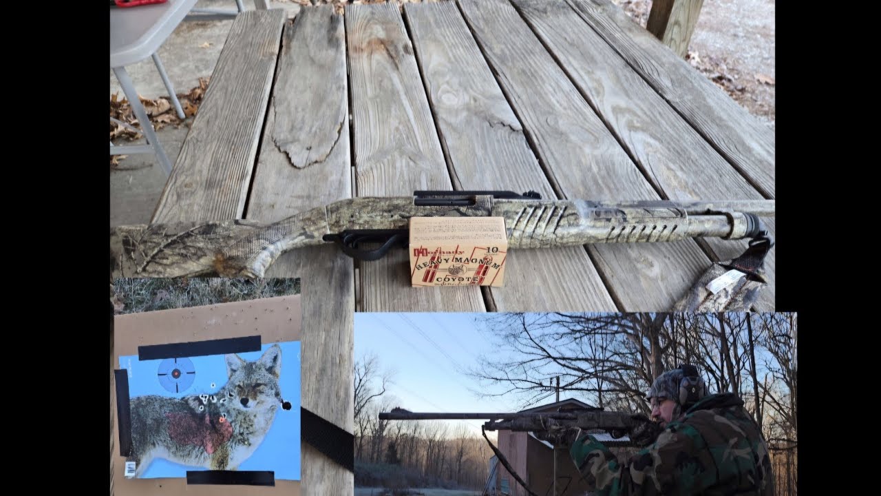2024 Coyote Shotgun Setup Test- Hornady Heavy Coyote Magnum 3in 00Buck Shells
