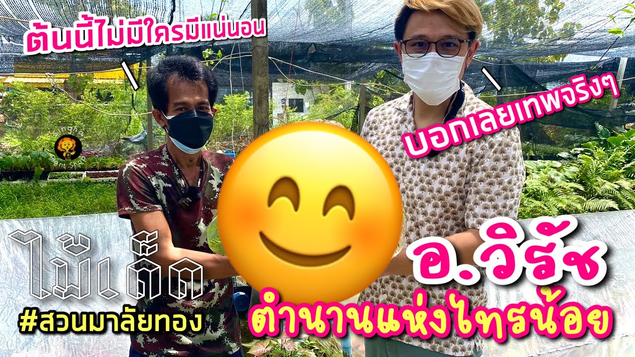 ไม้เด็ด EP.1 | เปิดตัวไม้ใหม่ ของ สวนมาลัยทอง ไทรน้อย ของ อ.วิรัช อาจเอี่ยม