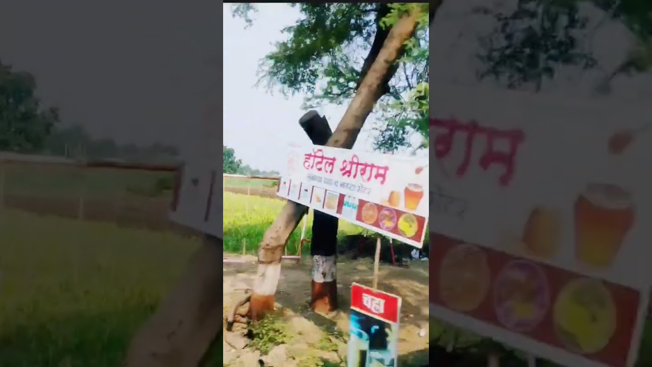 Rangdari songs in short video 