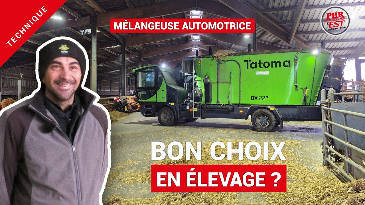 Mélangeuse automotrice pailleuse Tatoma DX22 en élevage bovin viande – retour d’expérience