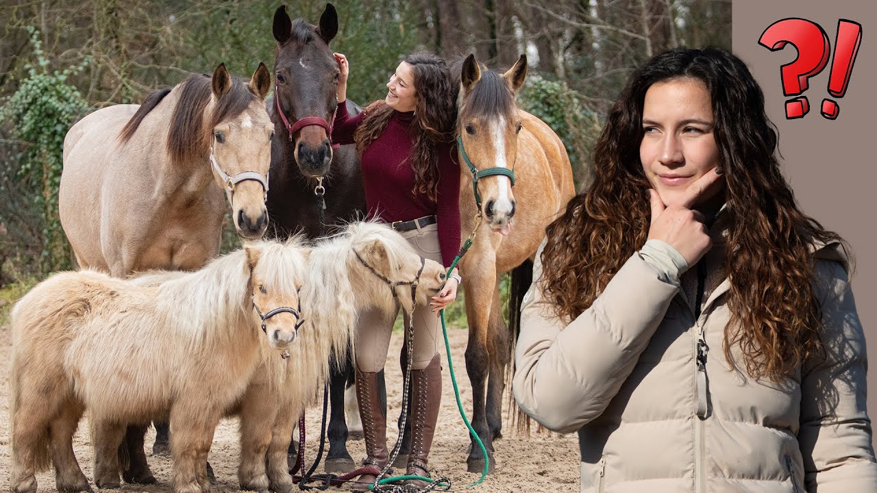 NEUE Pferd & Viele UMZÜGE? // Was ist da los?
