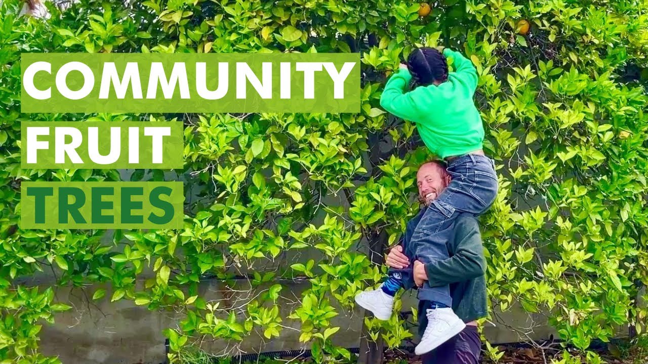 This Teenager Planted 21 Community Fruit Trees in Her Neighborhood