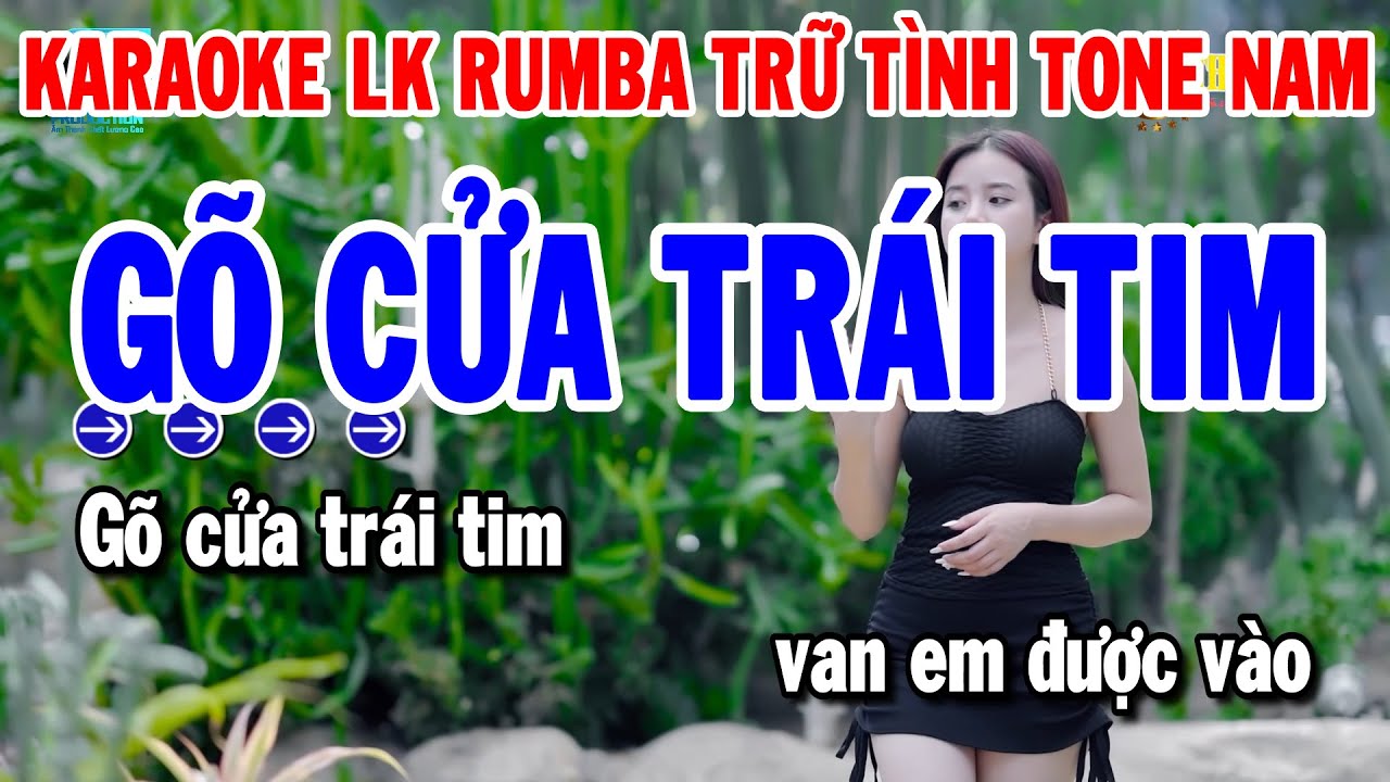 Karaoke Liên Khúc Trữ Tình Tone Nam Dễ Hát | Gõ Cửa Trái Tim - Bai Ca Kỷ Niệm | Thanh Hải