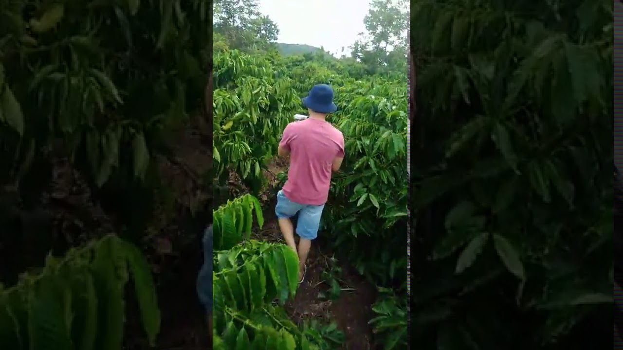 MWF AQUA Discovery of UnderGround Water in Vietnam - اكتشاف مياه جوفية في الفيتنام