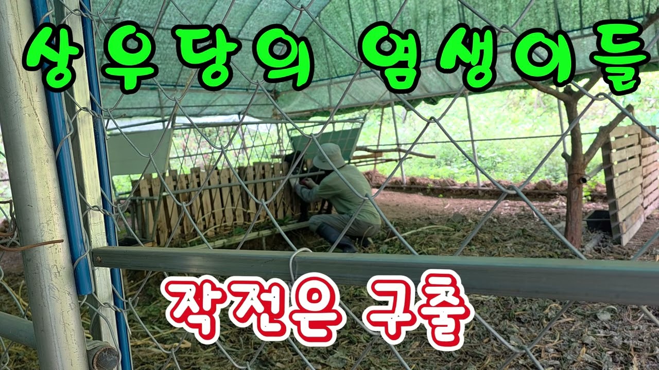 0213 상우당의 염생이들