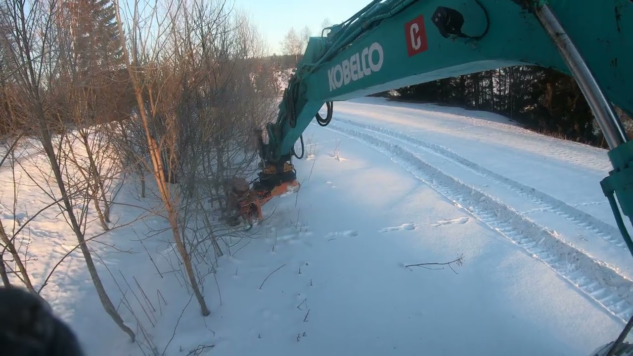 Energiapuun nipsutusta Axer 650HD kouralla.