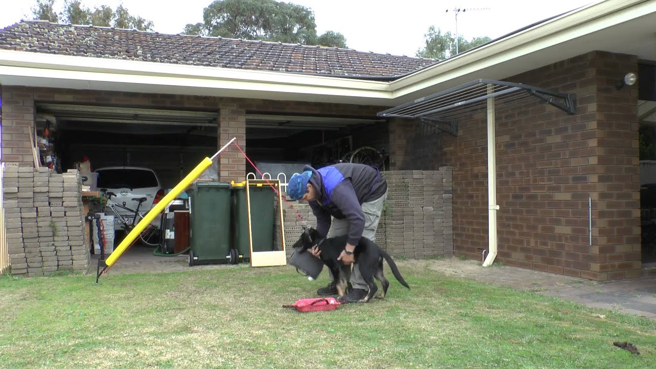 Flexi pole