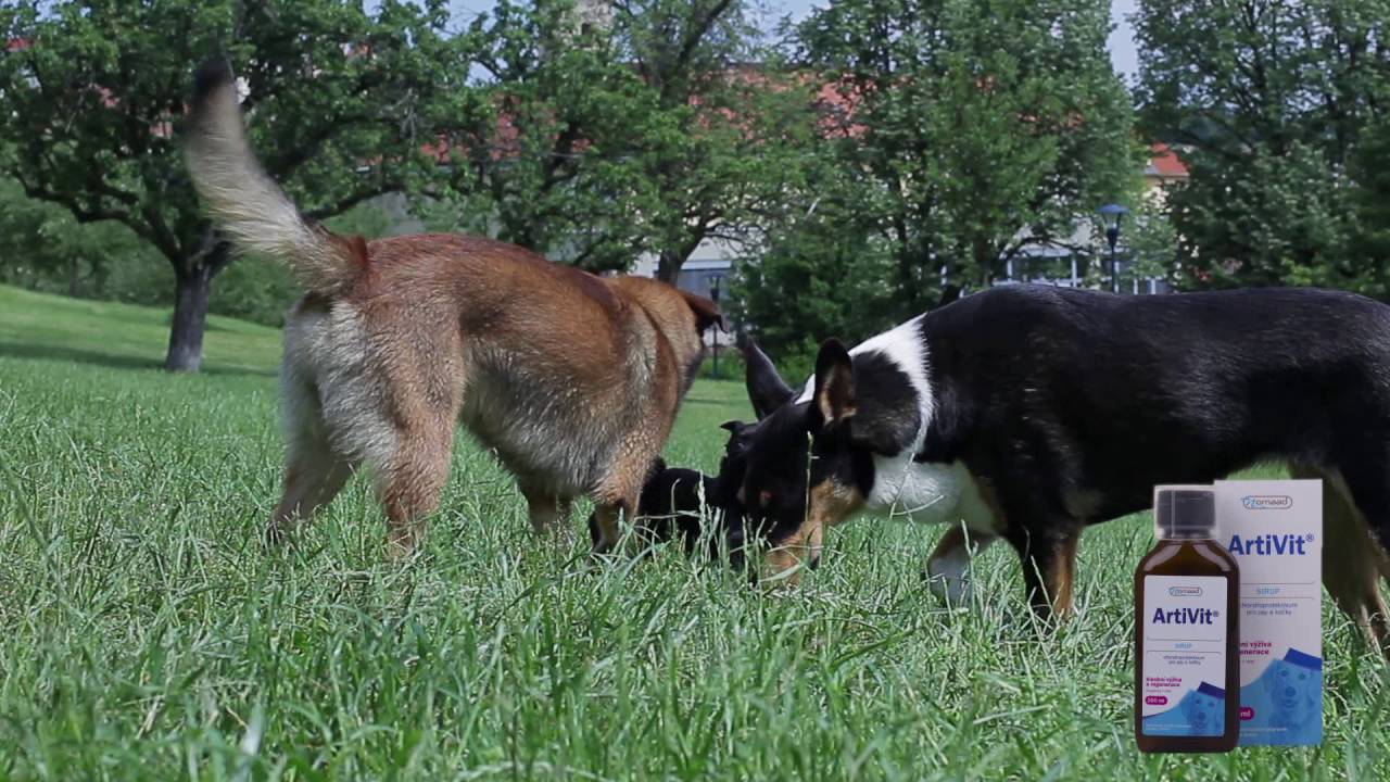 ArtiVit Sirup  - Vitar