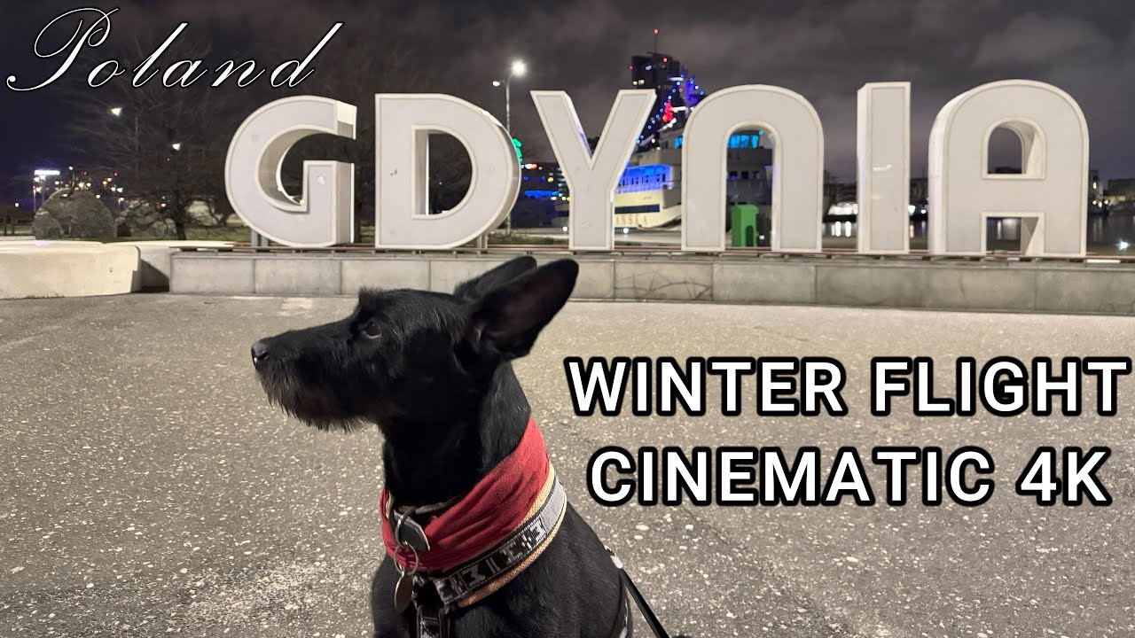 Poland - Winter in Gdynia - drone 4k footage