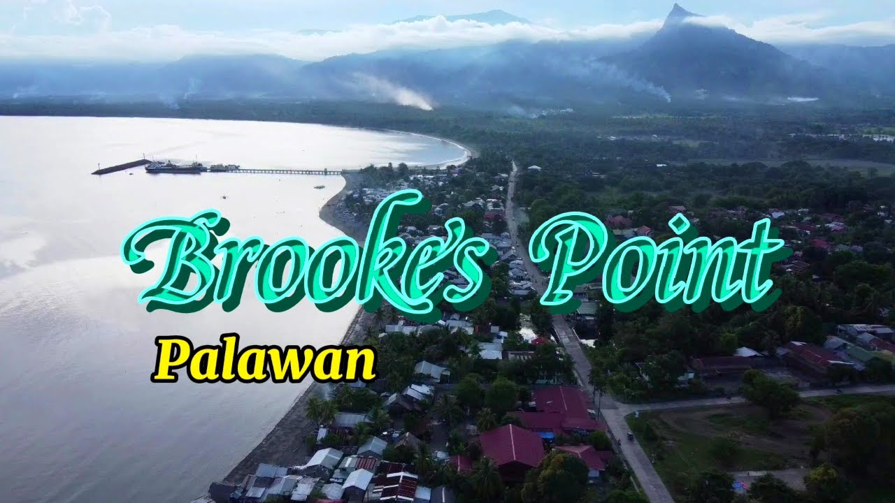 DJI Mini 2 | Port of Brookes Point, Palawan