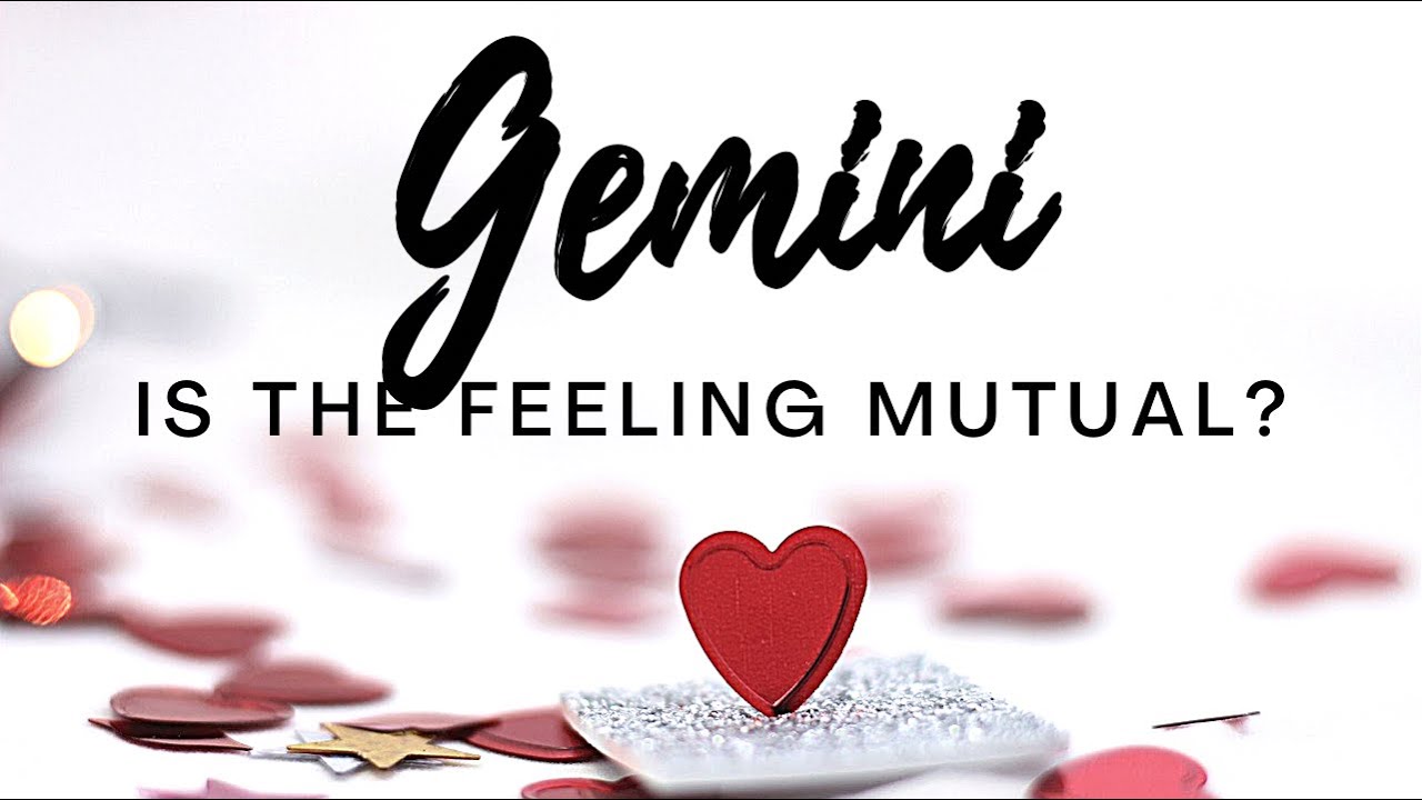 Gemini💕They’re crazily attracted to you! But someone from your past now regrets losing the chance✨