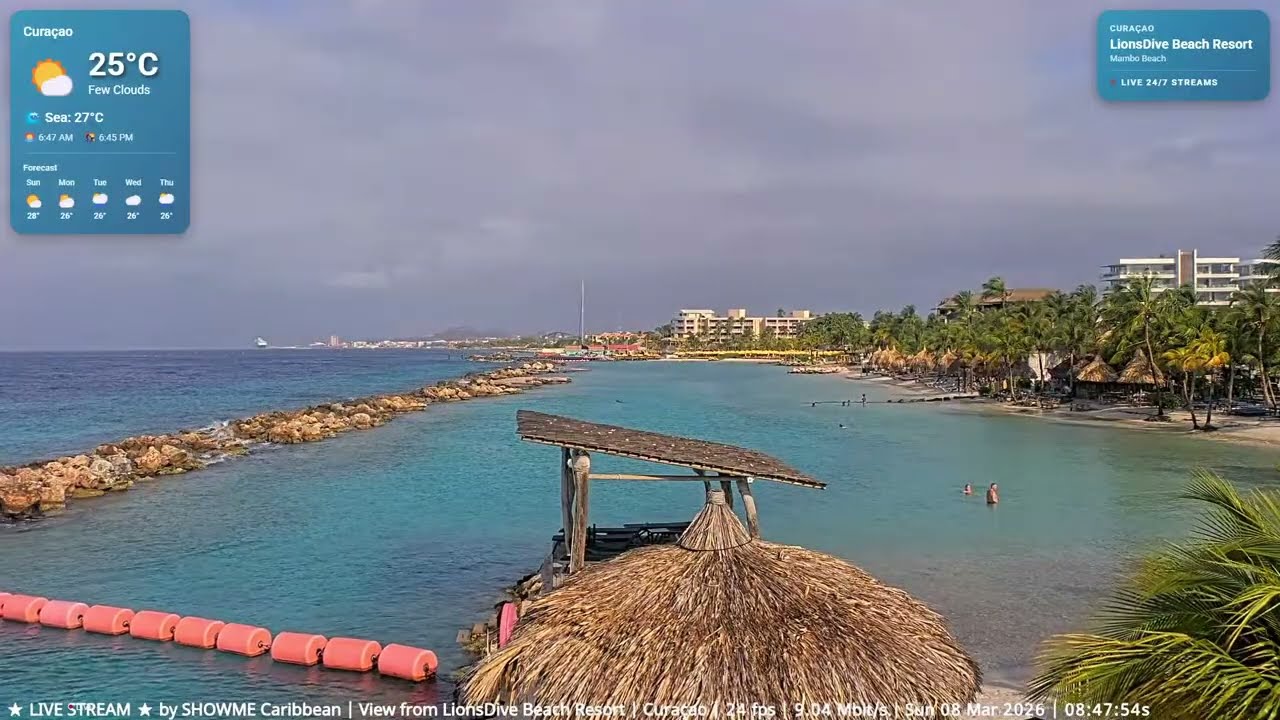 🌴Best Caribbean Beach Resorts LIVE | Curaçao • Sint Maarten • Aruba • Bonaire | March 8, 2026