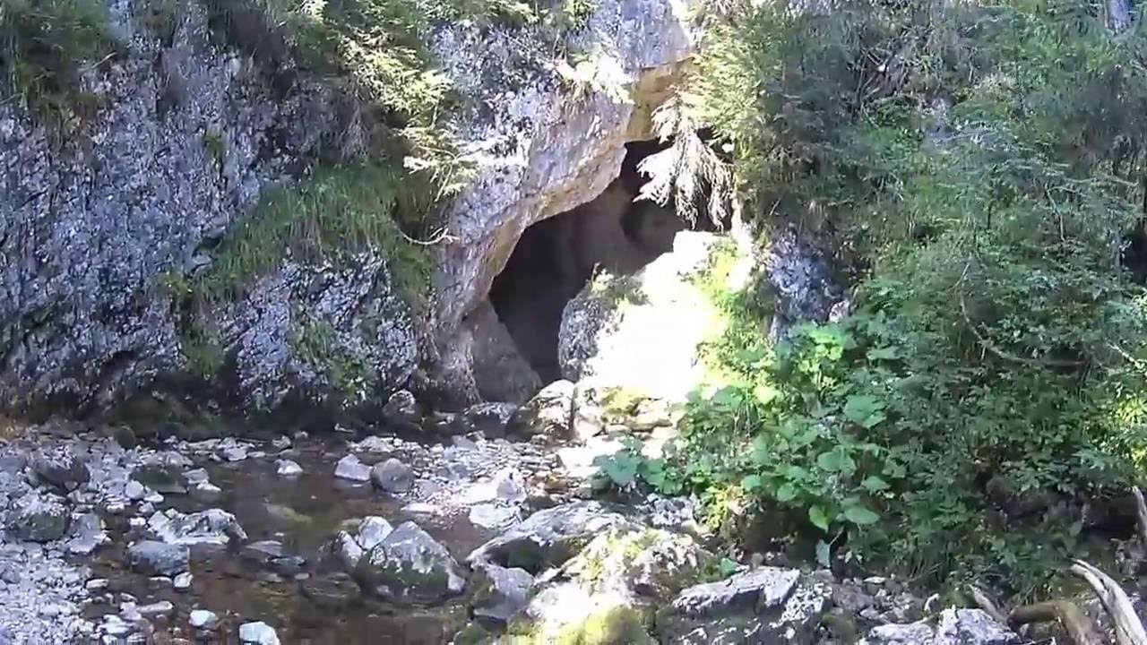 Bihar hegys&eacute;g, P&aacute;dis, Ponor r&eacute;t