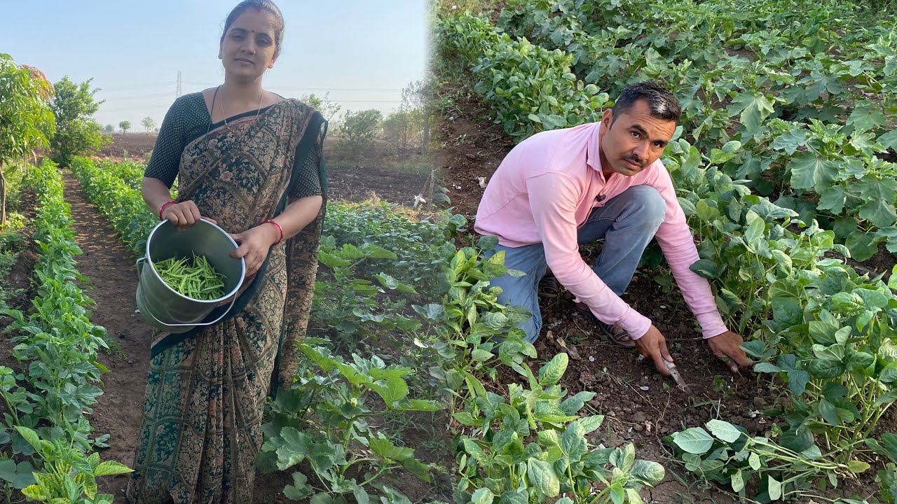 આજે ભીંડો ઉતારવાનું ચાલુ