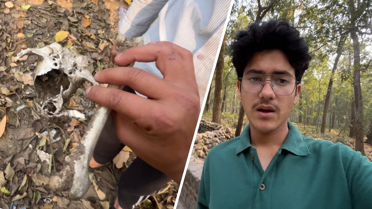 Jungle Mein Mili Bones 😱💀 | Yeh Kiski Ho Sakti Hain? 🔥