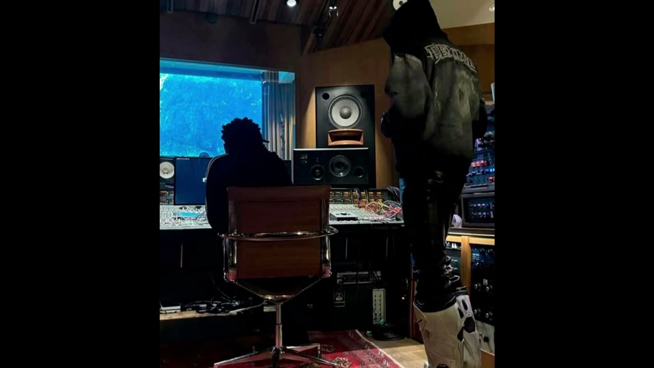 playboi carti + i am music + cardo type beat - wired