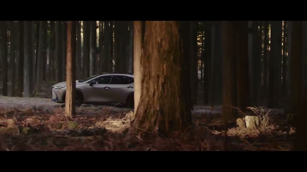 The Lexus NX Overtrail